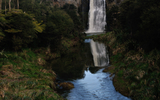 Nz1